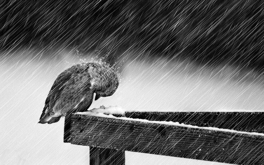 Encontrando Paz em Meio à Tempestade