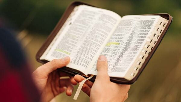 Quantos livros tem a Bíblia evangélica Antigo Testamento Quantos livros tem a Bíblia evangélica Antigo Testamento