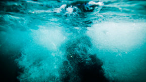 Versículos sobre batismo nas águas